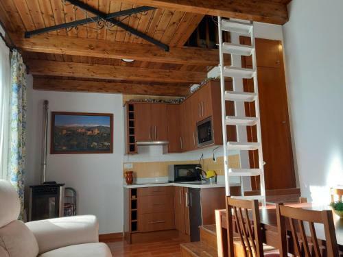 Apartamentos Domus
