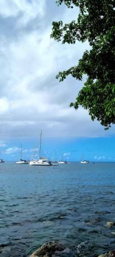 Bungalow Et Duplex De Island Bay
