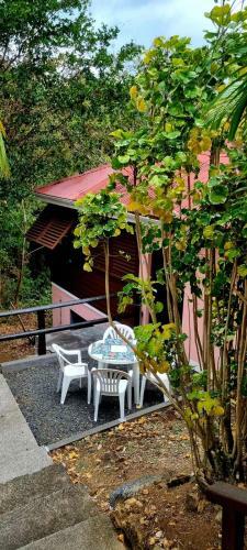 Bungalow Et Duplex De Island Bay