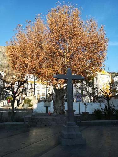 Plaza Nueva