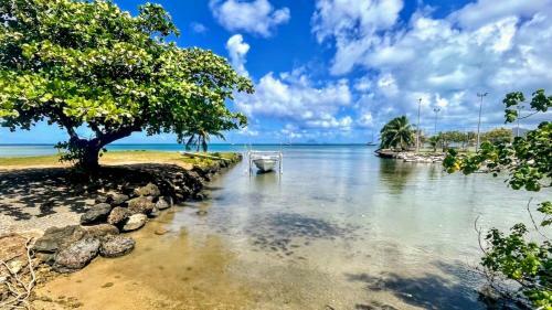Raiatea - Bungalow Nautilus Lagoon