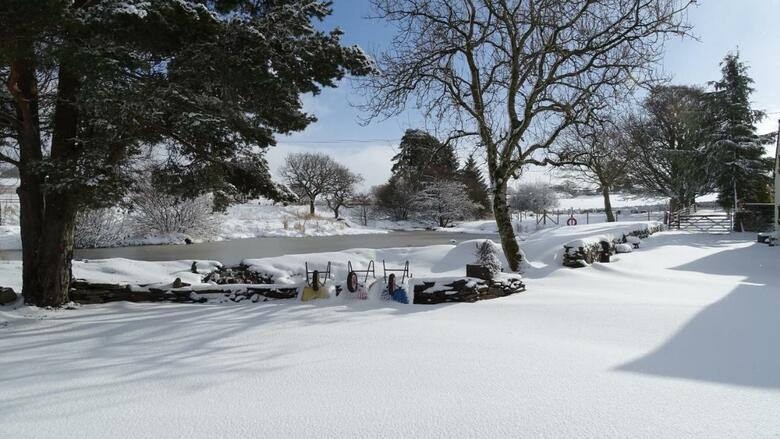 Bed & Breakfast Llwyn Onn Guest House, North Wales