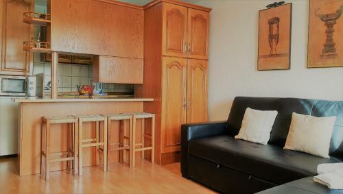 Apartamento Ski Plaza Sierra Nevada & Zona Baja