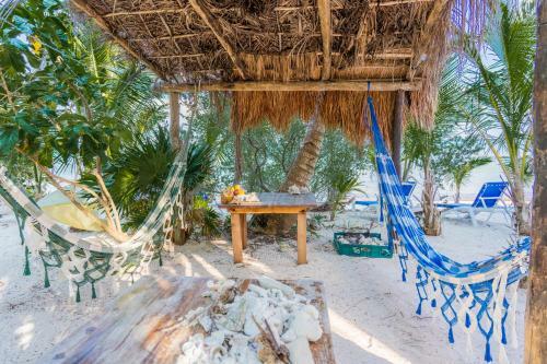 Beachfront House Ocean View Balcony Sun Beds & Garden Nice Amenities