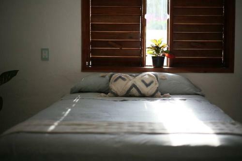 Cozy Beautiful Bacalar Style Apartment