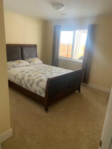 Castle Bear Suite