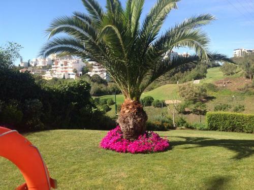 Apartment Andalusia