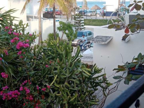 Caribbean Casa