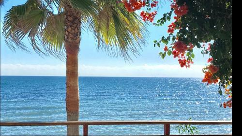 Mi Capricho B17 Beachfront Apartment