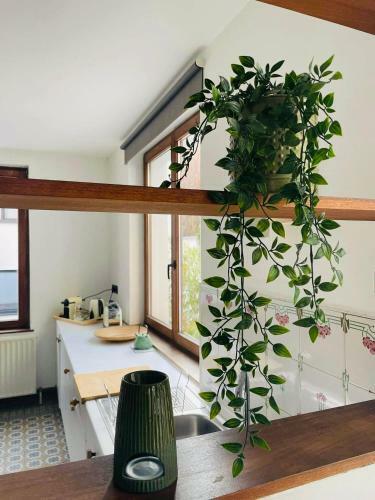 Apartamento La Campagne En Ville