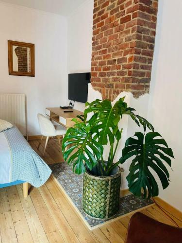 Apartamento La Campagne En Ville