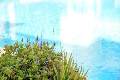 Sea View Holiday Apartment