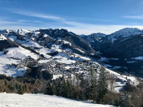 Apartamento Superbe Appartement R�nov� Dans Un Chalet