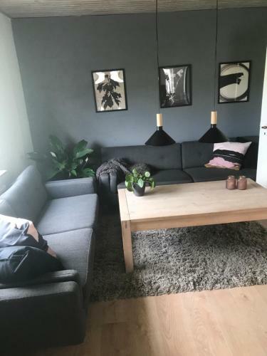 Apartamento Hus Ved Skov