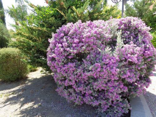 2-bedroom Apartment With Swimming Pool In Larnaca