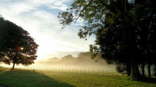 Hostal Elm Grove Country House