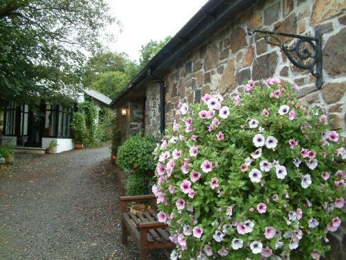 Bed & Breakfast Tor Cottage