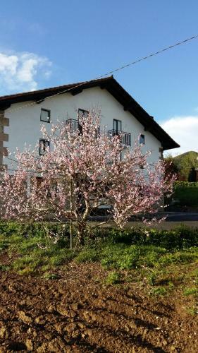 Apartamento Aberasturi