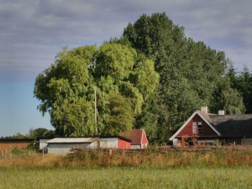 Albergue Tokkeruplund