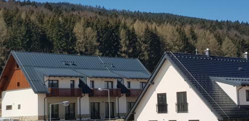 "penzion Na Bukov� Ho?e" - Apartm�nov� D?m