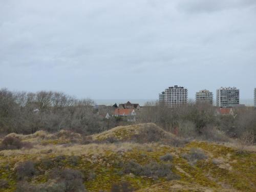 Apartamento De Panne Studio Vue Sur Mer