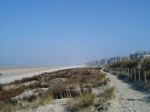 Apartamento De Panne Studio Vue Sur Mer