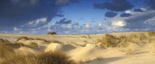 Apartamento De Panne Studio Vue Sur Mer