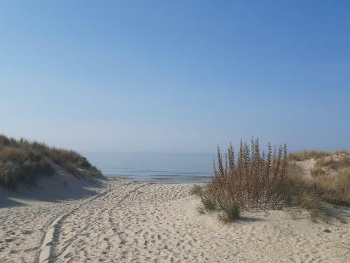 Hostal Lilafee