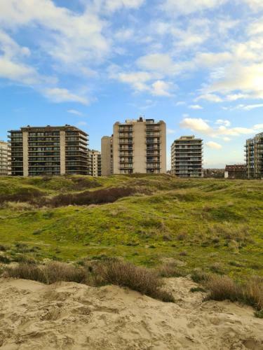 Apartamento Klif Studio 612 La Panne