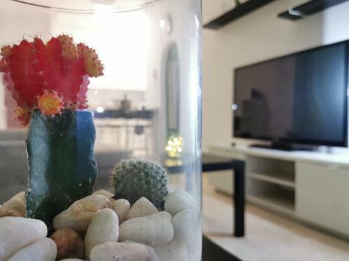 Apartamento 23 De Enero