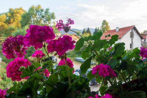 Hostal Guest House Markovi