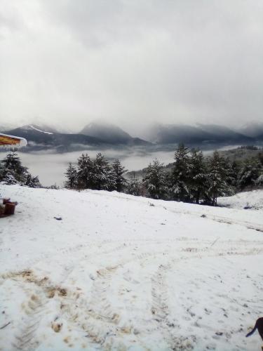 Hostal Guest House Markovi