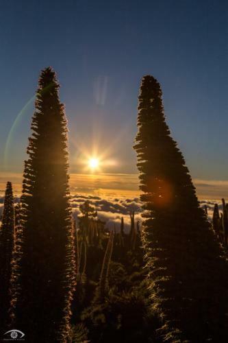 Apartamento Astrosunrise