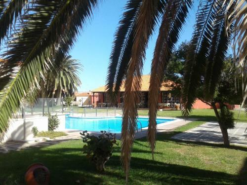 Apartamento Appartamento Il Gabbiano