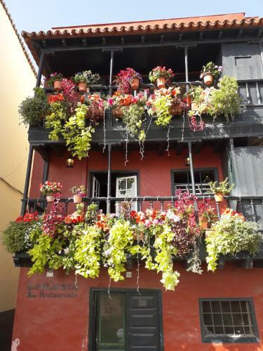 Apartamento Appartamento Il Gabbiano