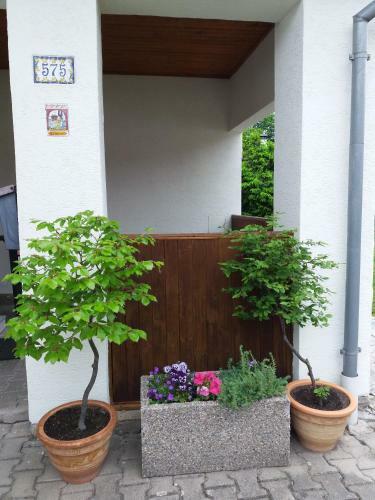 Apartm�ny U Mari�nsk� Kaple