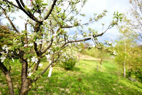 Agroturismo Ku?a Za Odmor Grunt
