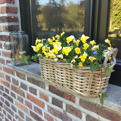 Apartamento Villa Van Brienen