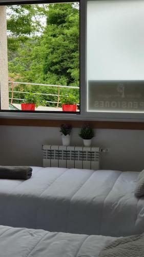 Hostal Peregrina Pension 4