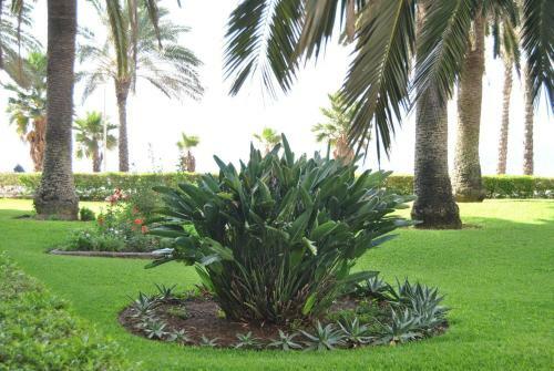 Apartamento Fewo Algarrobo-costa