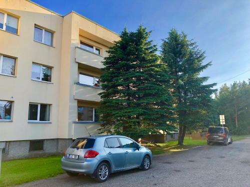 Wind Rose Apartment