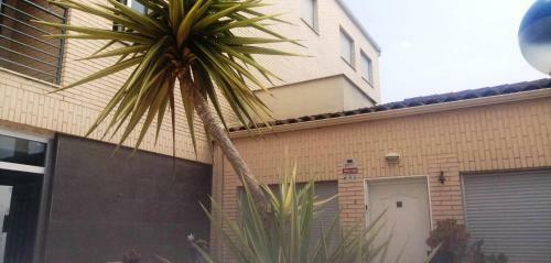 Apartament Popeye