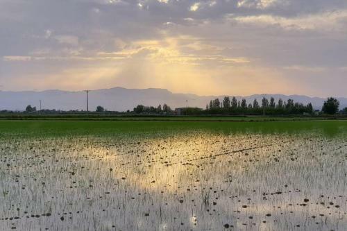 Apartament Lo Cor Del Delta