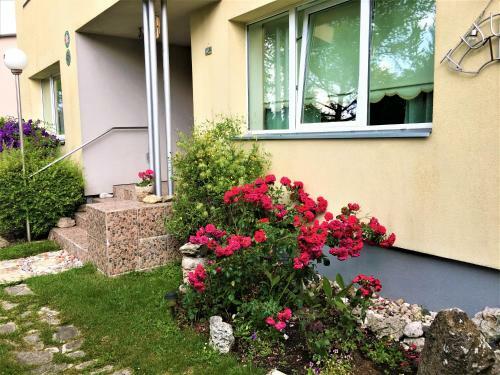 Dendro Homestay