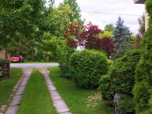 Dendro Homestay