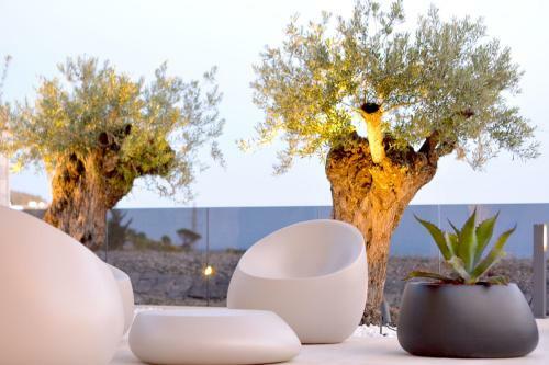Luxury Villa G With Private Pool And Spa Near Dubrovnik