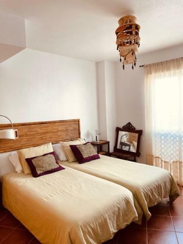 Oasis La Isleta