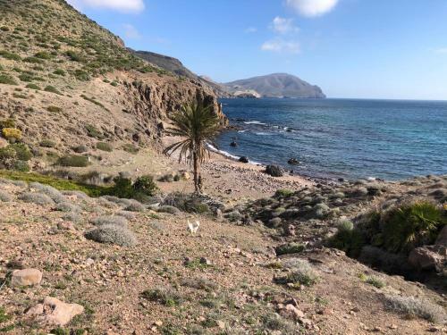 Apartamento Isleta 5