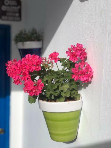 Apartamento Isleta 5