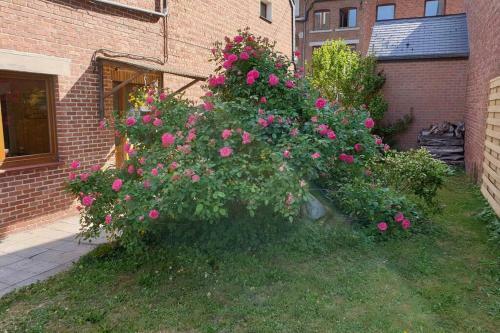 Apartamento Le Bord De Meuse